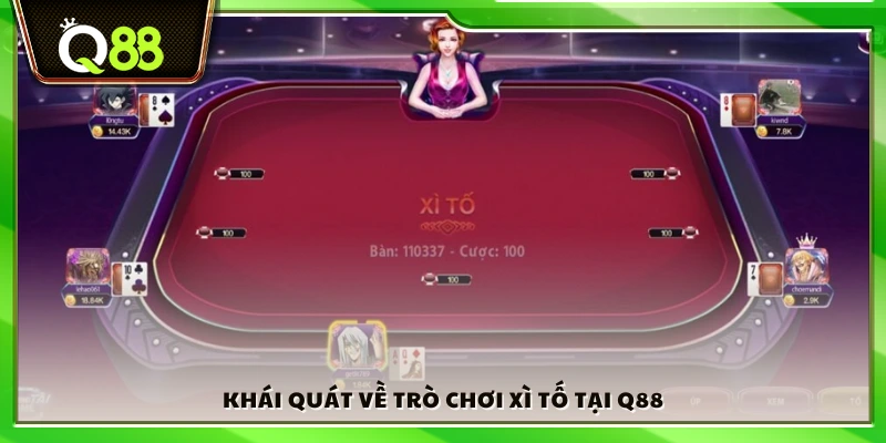 Giới thiệu tổng quan về Xì Tố trên Q88