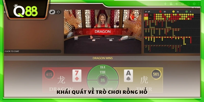 Tổng quan về Rồng Hổ tại Q 88 