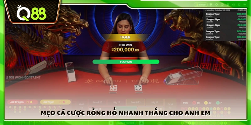 Thủ thuật cá cược Rồng Hổ để thắng nhanh