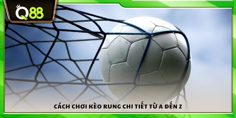 Quy trình đặt cược kèo rung từ A đến Z