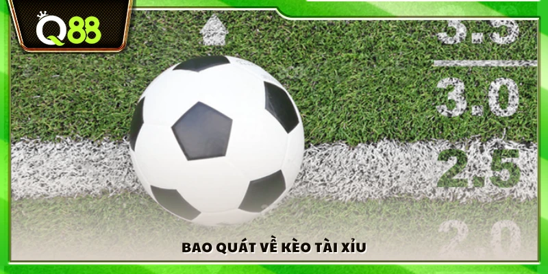 Tổng quan cơ bản về kèo Tài Xỉu