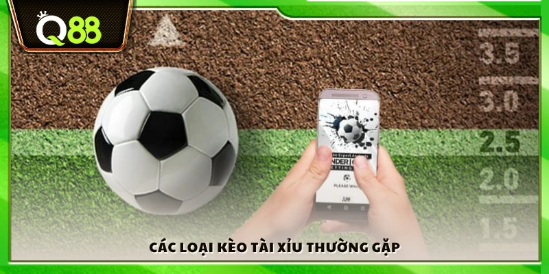 Phân loại những kèo Tài Xỉu phổ biến