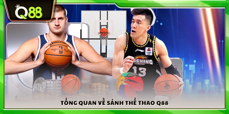 Giới thiệu khái quát sảnh thể thao Q88