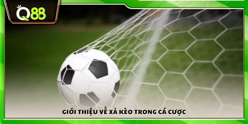 Giới thiệu sơ lược về thao tác xả kèo