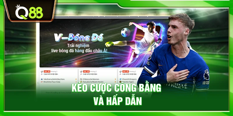 Q88 golden | Trang Chủ Q88.COM - Nhà Cái Uy Tín #1 Châu Á 15 Kèo cược công bằng và hấp dẫn